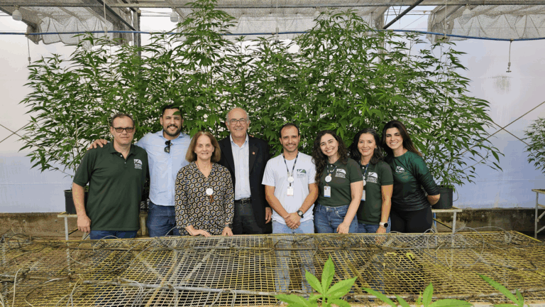 Deputado Mauro Rubem destina R$ 700 mil para pesquisas com Cannabis na UFG