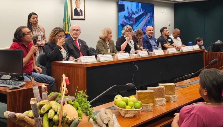 Em Brasília, Mauro Rubem defende garantia de direitos da comunidade quilombola Antinha de Baixo