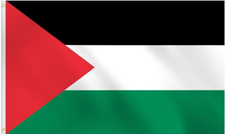 Repúdio à Violência da PMDF Contra manifestantes Pró-Palestina